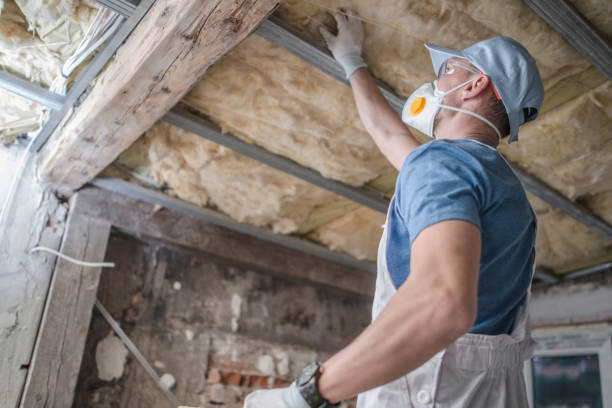 Best Fiberglass Insulation  in Ware Shoals, SC