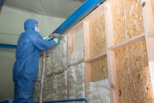 Best Blown-in Insulation  in Ware Shoals, SC