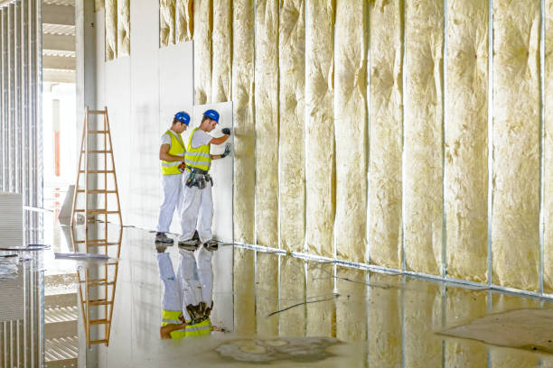 Best Local Insulation Services  in Ware Shoals, SC